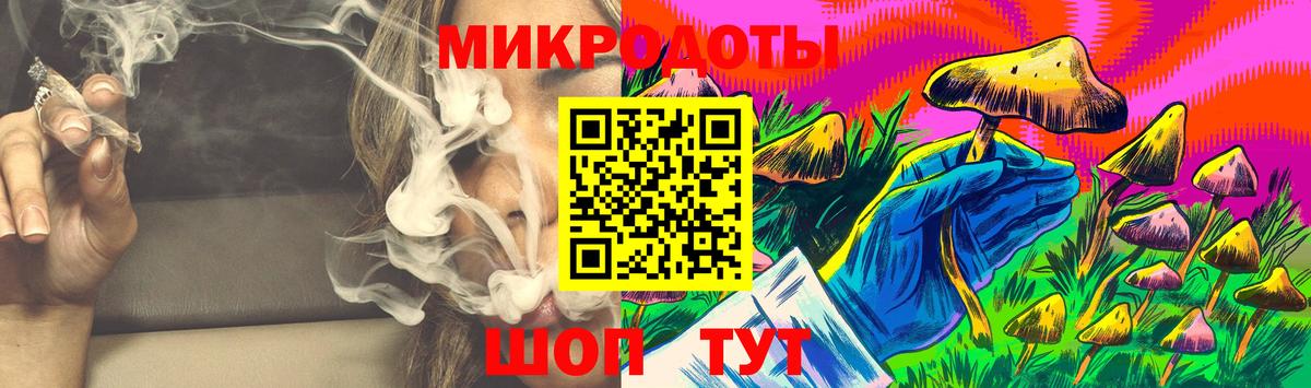 Псилоцибиновые грибы Psilocybe  купить закладку  Вичуга 